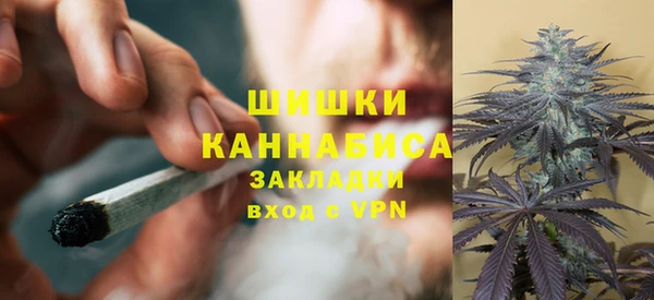 spice Верея