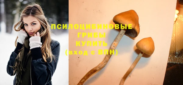 spice Верея