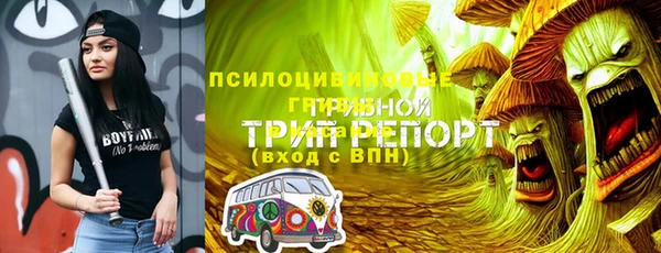 бошки Верхний Тагил