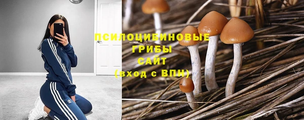 бошки Верхний Тагил