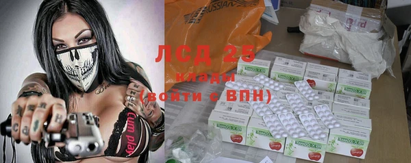 spice Верея