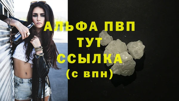 spice Верея