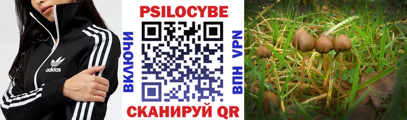 Купить где  Клин  Галлюциногенные грибы мухоморы 